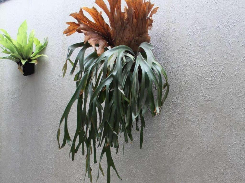 Casa Living Setiabudi Jakarta Extérieur photo